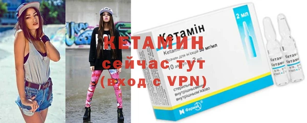 гашик Невель