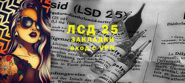 гашик Невель