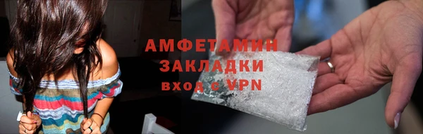 прущие грибы Кочубеевское