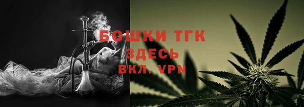 прущие грибы Кочубеевское