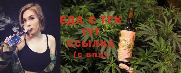 гашик Невель