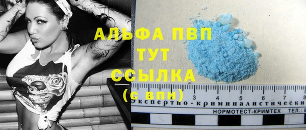 экстази Северская