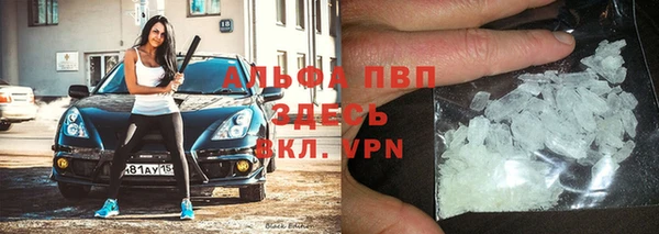 прущие грибы Кочубеевское