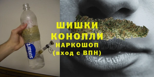 прущие грибы Кочубеевское
