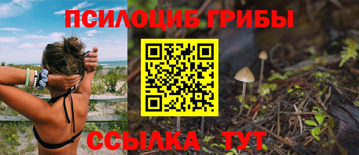 Галлюциногенные грибы мицелий Россия