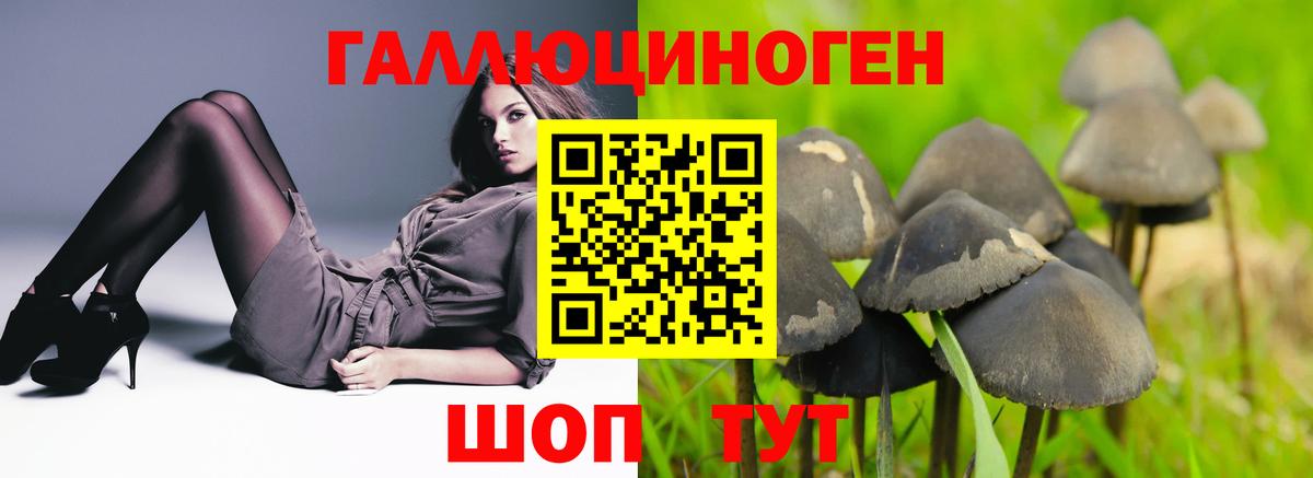 Псилоцибиновые грибы Cubensis  Галлюциногенные грибы Cubensis  Россия  Вход с VPN 